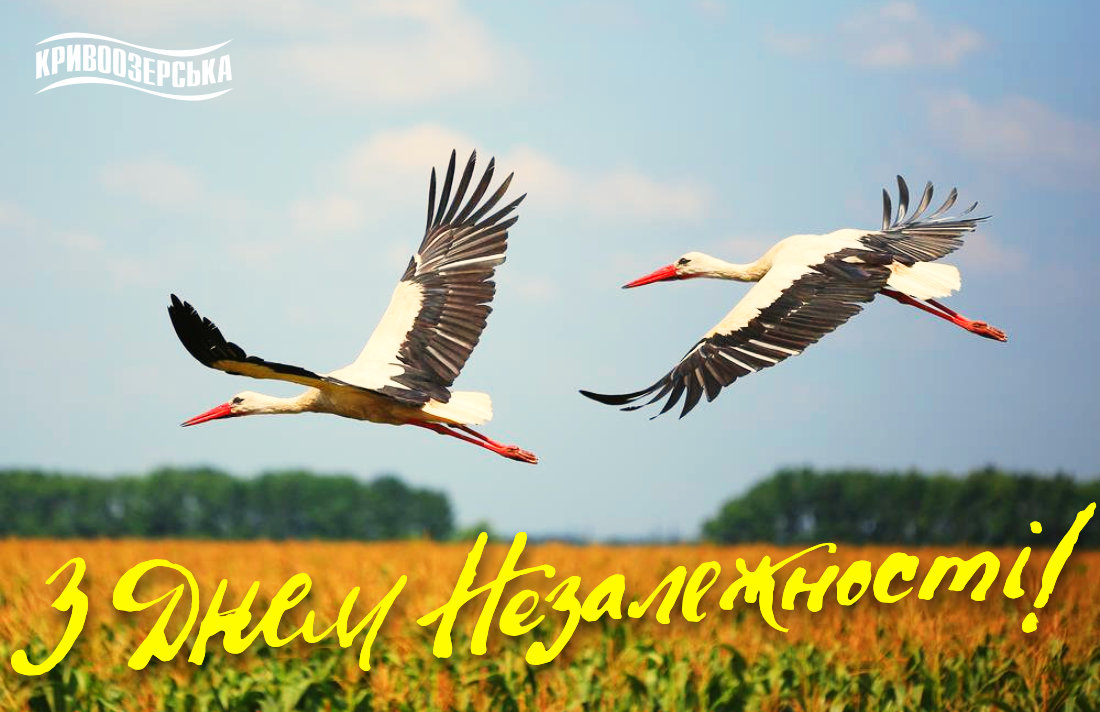 Прев'ю картинка для новини - З Днем Незалежності, друзі!